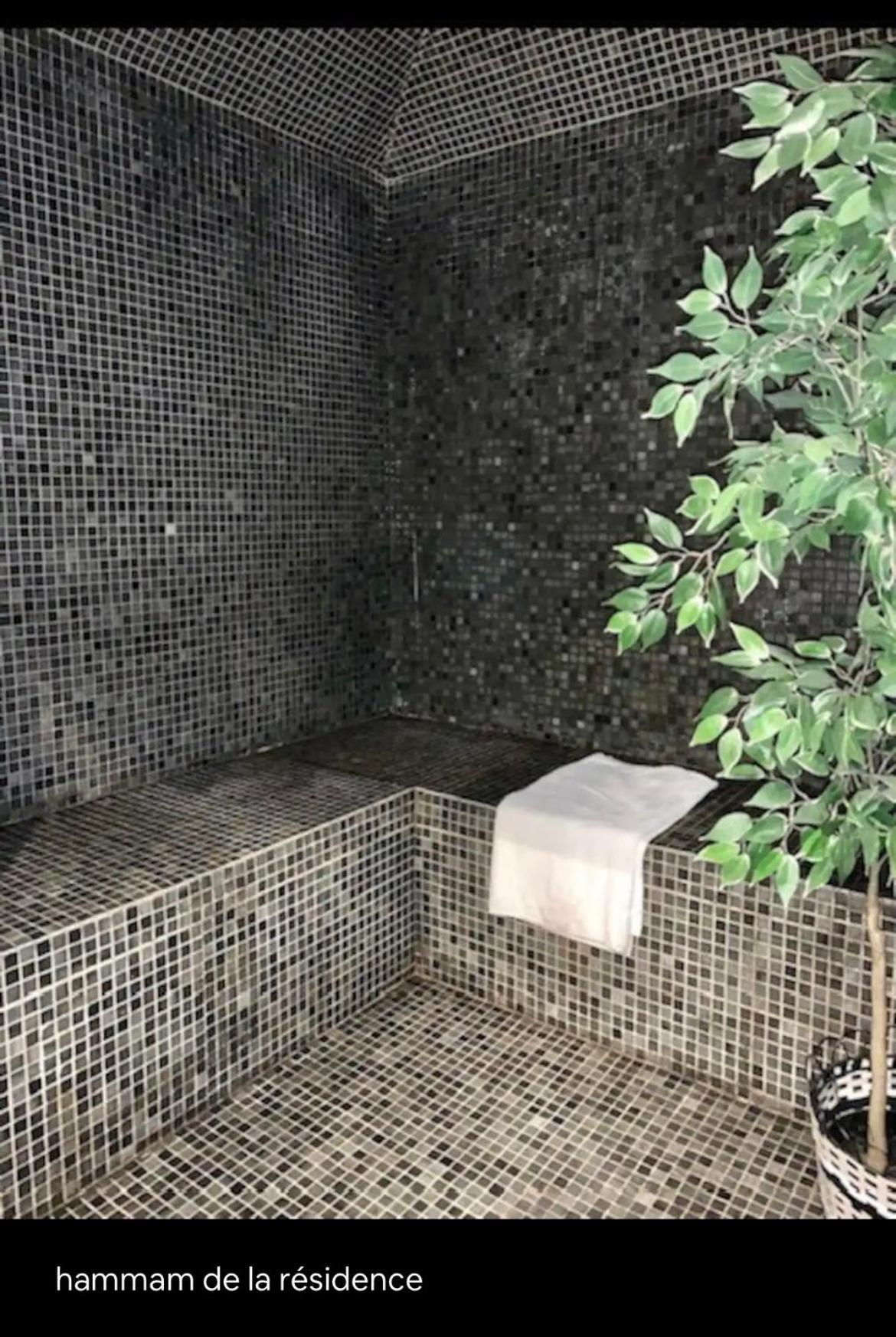 Appartements Avec Piscine Interieure Sauna Parking Etage 1 Au Centre Du Village Dans Residence Cami Real سانت لاري سولون المظهر الخارجي الصورة